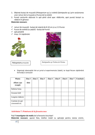 17
1. Obţineți butași de mușcată (Pelargonium sp.) și violetă (Saintpaulia sp.) prin secționarea
unor ramuri de la mușcate și frunze de la violetă
2. Puneți secțiunile obținute în apă până când apar rădăcinile, apoi puneți butașii cu
rădăcini în ghivece
Materiale necesare:
 ramuri de mușcată - butași de tulpină de 8-10 cm și cu 2-3 frunze
 frunze de violetă (cu peţiol) - butași de frunză
 apă potabilă
 timp: 2-4 săptămâni
 Organizaţi observaţiile într-un jurnal al experimentului (tabel), iar după fiecare săptămână
formulaţi o concluzie!
Planta
Allium cepa
(ceapă)
Ziua 1
data
Ziua 2 Ziua 3 Ziua 4 Ziua 5 Ziua 6 Ziua 7 Concluzie
Înălţime butaș
Greutate bulb
Lungime rădăcini
Cantitate de apă
consumată etc.
Activitatea 7. Primăvara de la fereastra mea
Poţi fi investigator de mediu de la fereastra locuinţei!
Materiale necesare: aparat foto, telefon mobil cu aplicaţie pentru starea vremii,
Pelargonium sp-mușcata
mu
Saintpaulia sp-Violeta de Parma
 