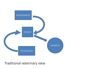 Animal disease control and value chain practices: Incorporating economics and systems thinking approaches  