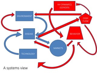 Animal disease control and value chain practices: Incorporating economics and systems thinking approaches  