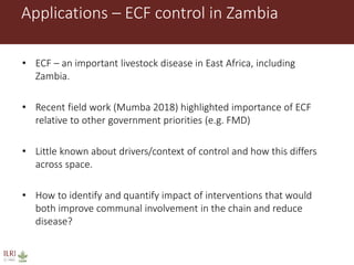 Animal disease control and value chain practices: Incorporating economics and systems thinking approaches  
