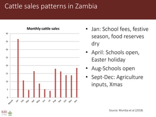 Animal disease control and value chain practices: Incorporating economics and systems thinking approaches  