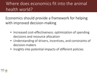 Animal disease control and value chain practices: Incorporating economics and systems thinking approaches  