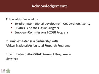 Improved forages increase livestock productivity: Brachiaria grass a success story