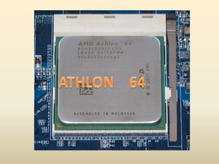 ATHLON    64