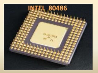 INTEL  80486