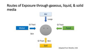 Routes of Exposure through gaseous, liquid, & solid
media
Air
Water Food
Soil
GI TractGI Tract
Skin
SkinGI Tract
Lungs
Adapted from Moeller, D.W.
 