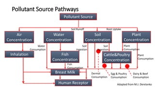 Pollutant Source Pathways
Pollutant Source
Inhalation Fish
Concentration
Breast Milk
Human Receptor
Plant
Concentration
Soil
Concentration
Water
Concentration
Air
Concentration
Cattle&Poultry
Concentration
Soil Runoff Root Uptake
Water
Consumption
Soil
Ingestion
Soil
Ingestion
Plant
Consumption
Plant
Consumption
Fish
Consumption
Dermal
Consumption
Egg & Poultry
Consumption
Dairy & Beef
Consumption
Adapted from M.J. Derelanko
 