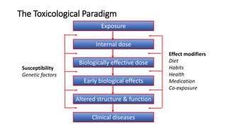The Toxicological Paradigm
Exposure
Altered structure & function
Internal dose
Biologically effective dose
Early biological effects
Clinical diseases
Susceptibility
Genetic factors
Effect modifiers
Diet
Habits
Health
Medication
Co-exposure
 