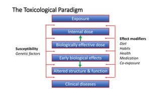 The Toxicological Paradigm
Exposure
Altered structure & function
Internal dose
Biologically effective dose
Early biological effects
Clinical diseases
Susceptibility
Genetic factors
Effect modifiers
Diet
Habits
Health
Medication
Co-exposure
 
