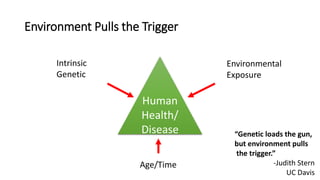 Environment Pulls the Trigger
Human
Health/
Disease
Intrinsic
Genetic
Environmental
Exposure
Age/Time
“Genetic loads the gun,
but environment pulls
the trigger.”
-Judith Stern
UC Davis
 