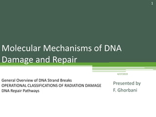 Molecular Mechanisms of DNA
Damage and Repair
Presented by
F. Ghorbani
4/27/2019
1
General Overview of DNA Strand Breaks
OPERATIONAL CLASSIFICATIONS OF RADIATION DAMAGE
DNA Repair Pathways
 