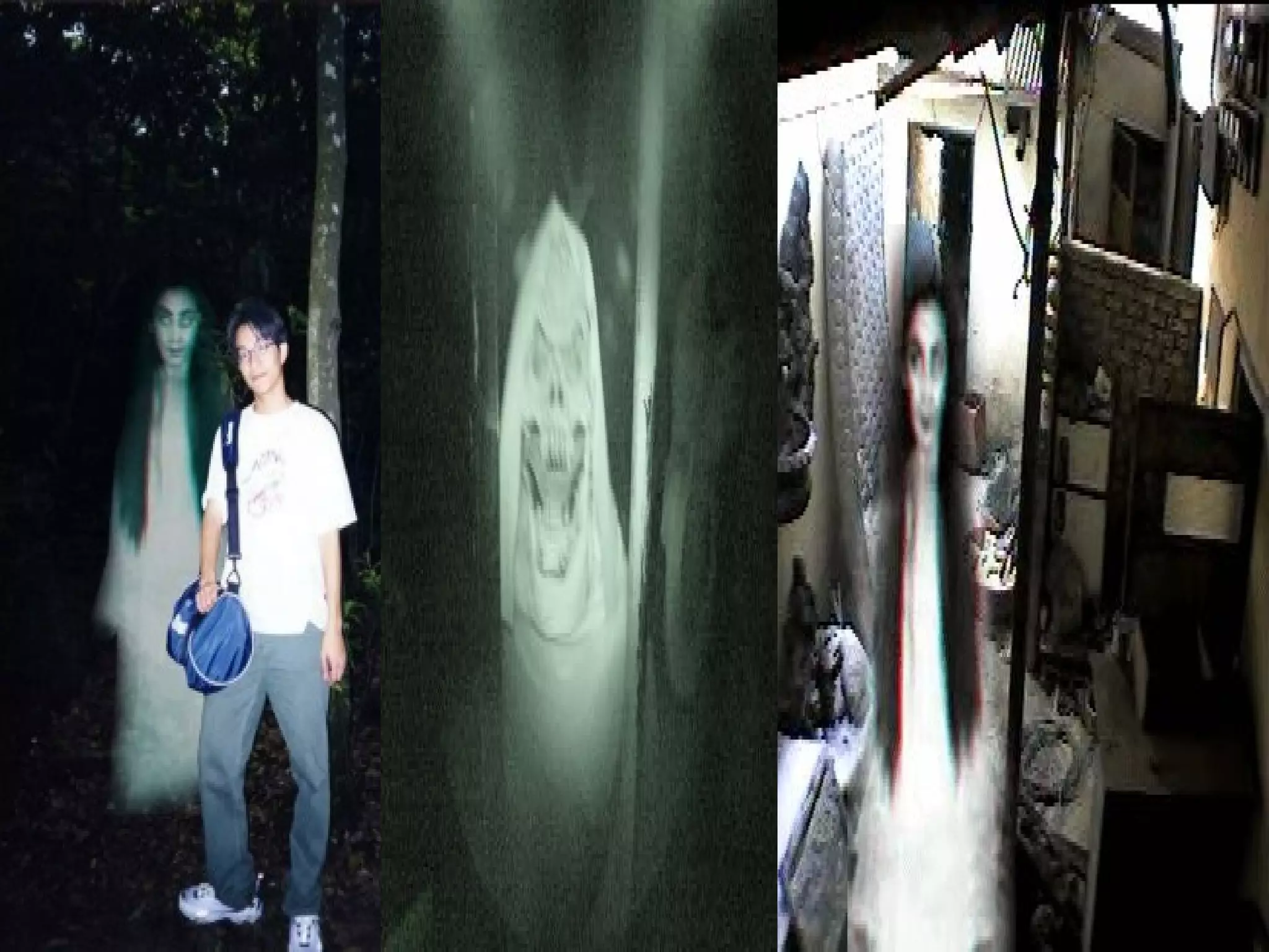 Ghosts in the light of Science | PPT