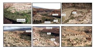 palmeraie
palmeraie
L’oued
La montagne L’oued
église
L’oued
La montagne
La montagne
arbres
 