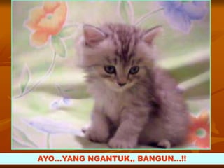 AYO…YANG NGANTUK,, BANGUN…!!
 