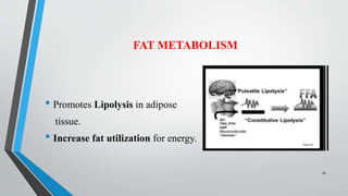 FAT METABOLISM
• Promotes Lipolysis in adipose
tissue.
• Increase fat utilization for energy.
18
 
