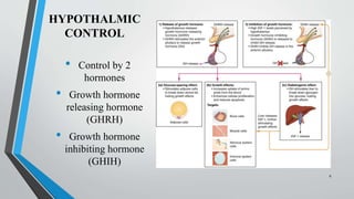 HYPOTHALMIC
CONTROL
• Control by 2
hormones
• Growth hormone
releasing hormone
(GHRH)
• Growth hormone
inhibiting hormone
(GHIH)
6
 