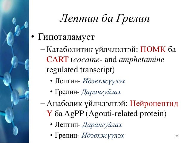 Ghrelin