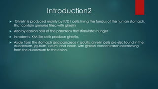 Introduction2
 Ghrelin is produced mainly by P/D1 cells, lining the fundus of the human stomach,
that contain granules filled with ghrelin
 Also by epsilon cells of the pancreas that stimulates hunger
 In rodents, X/A-like cells produce ghrelin.
 Aside from the stomach and pancreas in adults, ghrelin cells are also found in the
duodenum, jejunum, i leum, and colon, with ghrelin concentration decreasing
from the duodenum to the colon.
 