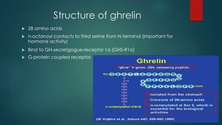 Structure of ghrelin
 28 amino acids
 n-octanoyl contacts to third serine from N-terminal (important for
hormone activity)
 Bind to GH-secretgogue-receptor 1a (GHS-R1a)
 G-protein coupled receptor
 