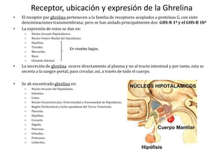 Ghrelina | PPTX