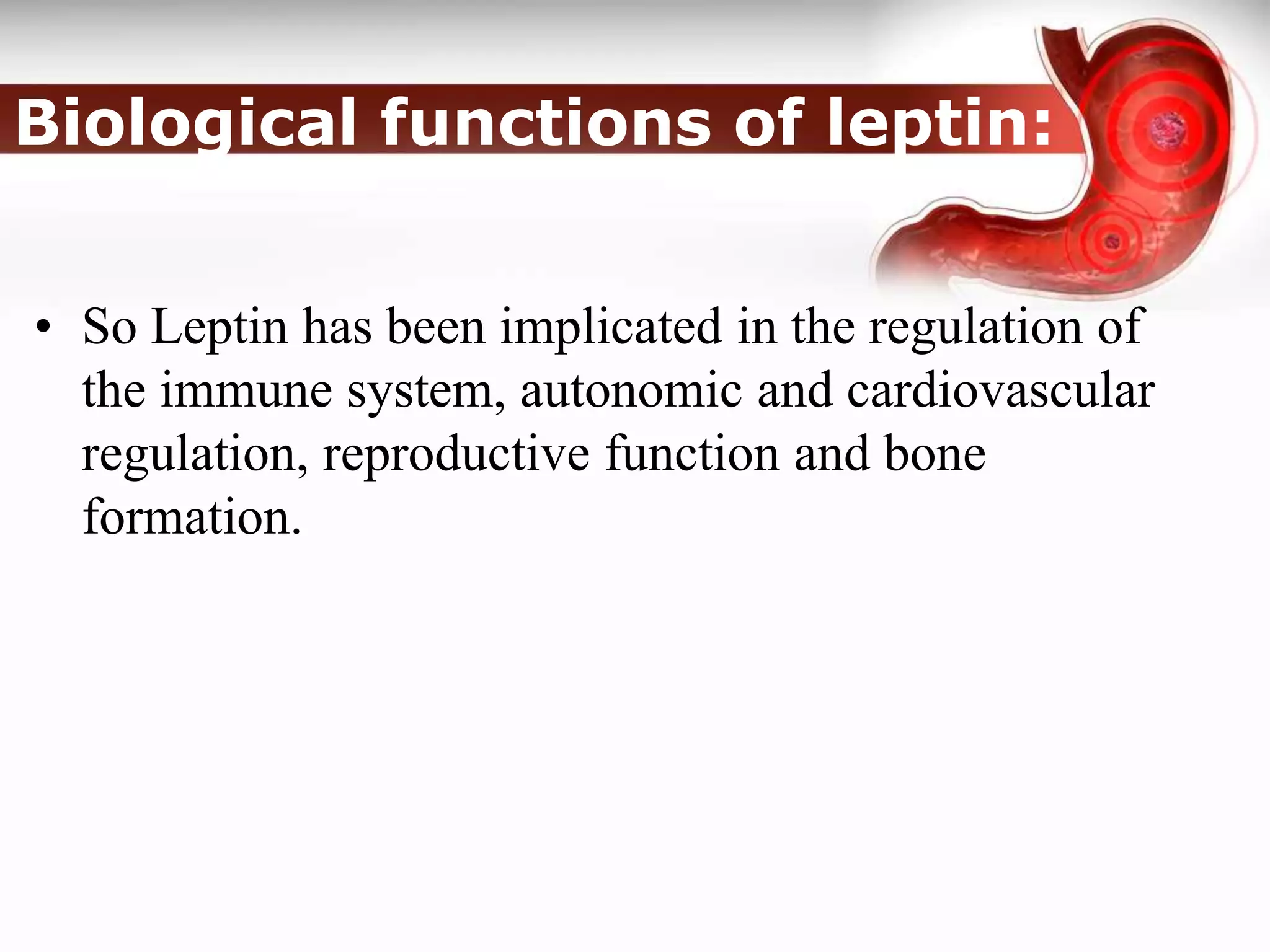 The Hormone Leptin Is Believed To Ghrelin and Leptin hormones | PPT