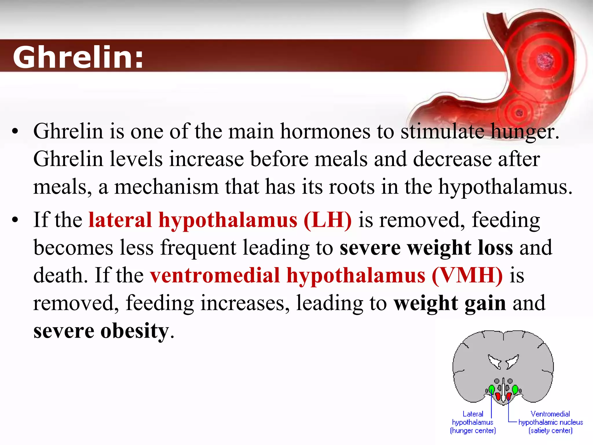 The Hormone Leptin Is Believed To Ghrelin and Leptin hormones | PPT