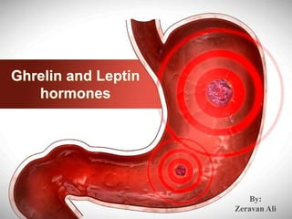 Ghrelin and Leptin
hormones
By:
Zeravan Ali
 