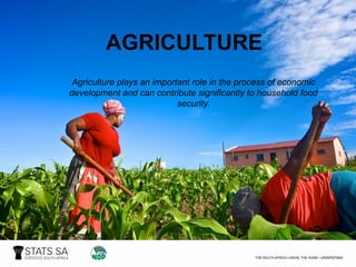 AGRICULTURE
Agriculture plays an important role in the process of economic
development and can contribute significantly to household food
security.
 