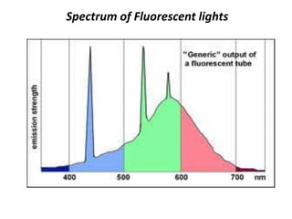 Spectrum of Fluorescent lights
 