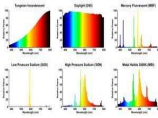 d) Low pressure lamps :- 27% conversion .yelloyish light ; very
efficient and are used widely . High quality and high fresh weight
plants .
 