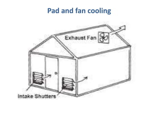Pad and fan cooling
 