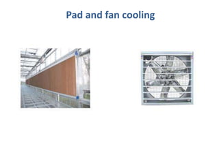 Pad and fan cooling
 