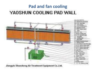 Pad and fan cooling
 