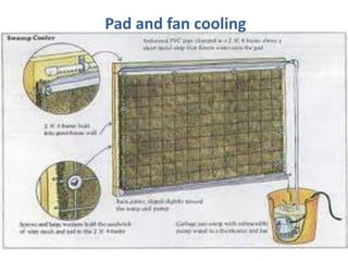 Pad and fan cooling
 
