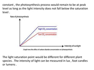 constant , the photosynthesis process would remain to be at peak
level as long as the light intensity does not fall below the saturation
level .
The light saturation point would be different for different plant
species . The intensity of light can be measured in lux , foot candles
or lumens .
 