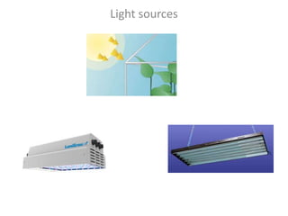 Light sources
 