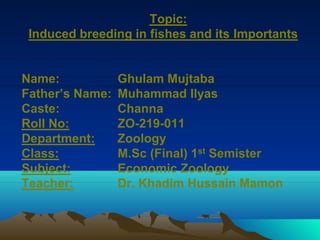 Topic:
Induced breeding in fishes and its Importants
Name: Ghulam Mujtaba
Father’s Name: Muhammad Ilyas
Caste: Channa
Roll No: ZO-219-011
Department: Zoology
Class: M.Sc (Final) 1st Semister
Subject: Economic Zoology
Teacher: Dr. Khadim Hussain Mamon
 