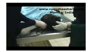 Ghusl e-mayyit-awr-kafan-ka-tareeqah