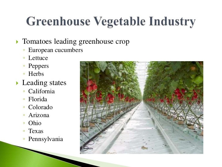 Greenhouse Vegetable Production