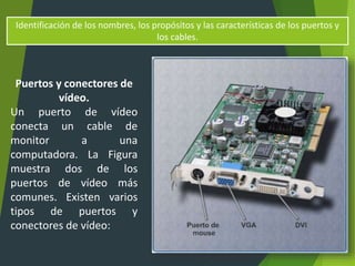 Identificación de los nombres, los propósitos y las características de los puertos y
los cables.
Puertos y conectores de
vídeo.
Un puerto de vídeo
conecta un cable de
monitor a una
computadora. La Figura
muestra dos de los
puertos de vídeo más
comunes. Existen varios
tipos de puertos y
conectores de vídeo:
 