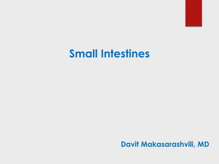 Small Intestines
Davit Makasarashvili, MD
 