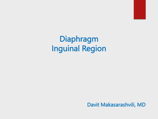Diaphragm
Inguinal Region
Davit Makasarashvili, MD
 