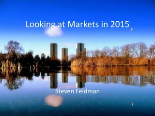 Looking at Markets in 2015Steven Feldman