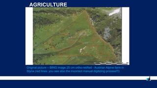 AGRICULTURE
Original picture – BING image 25 cm ortho-retified - Austrian Alpine farm in
Styria (red lines: you see also the incorrect manual digitizing process!!!)
 