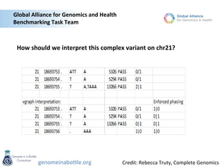 genomeinabottle.org
Global Alliance for Genomics and Health
Benchmarking Task Team
Credit: Rebecca Truty, Complete Genomics
How should we interpret this complex variant on chr21?
 