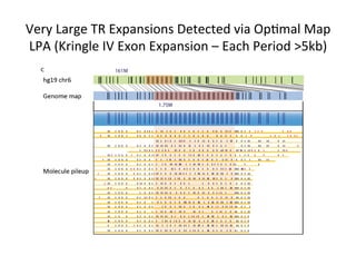 Very	Large	TR	Expansions	Detected	via	Op1mal	Map	
LPA	(Kringle	IV	Exon	Expansion	–	Each	Period	>5kb)	
 