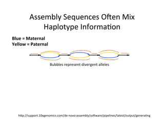 Assembly	Sequences	Oven	Mix	
Haplotype	Informa1on	
hAp://support.10xgenomics.com/de-novo-assembly/sovware/pipelines/latest/output/genera1ng	
Bubbles	represent	divergent	alleles	
Blue	=	Maternal	
Yellow	=	Paternal	
 