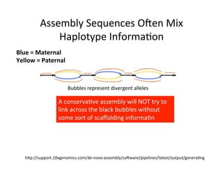hAp://support.10xgenomics.com/de-novo-assembly/sovware/pipelines/latest/output/genera1ng	
Bubbles	represent	divergent	alleles	
Blue	=	Maternal	
Yellow	=	Paternal	
A	conserva1ve	assembly	will	NOT	try	to	
link	across	the	black	bubbles	without	
some	sort	of	scaﬀolding	informa1n	
Assembly	Sequences	Oven	Mix	
Haplotype	Informa1on	
 