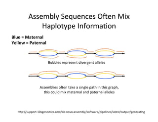 hAp://support.10xgenomics.com/de-novo-assembly/sovware/pipelines/latest/output/genera1ng	
Bubbles	represent	divergent	alleles	
Blue	=	Maternal	
Yellow	=	Paternal	
Assemblies	oven	take	a	single	path	in	this	graph,	
this	could	mix	maternal	and	paternal	alleles	
Assembly	Sequences	Oven	Mix	
Haplotype	Informa1on	
 