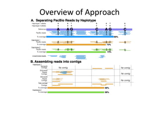 Overview	of	Approach	
 